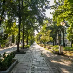 Katowice Mikusińskiego - mieszkania w sercu rozwijającego się miasta