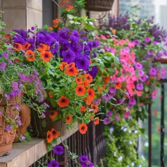 Kwiaty do donic - Najpiękniejsze rośliny na Twój balkon, które ożywią przestrzeń